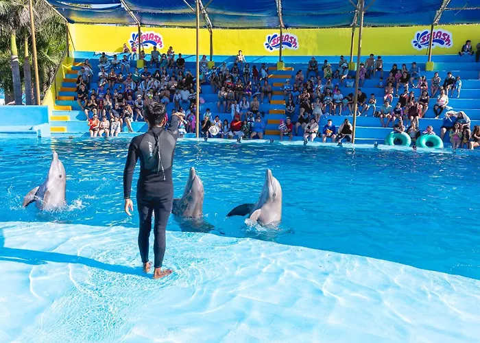 Splash Inn Nuevo Vallarta&Parque Acuatico