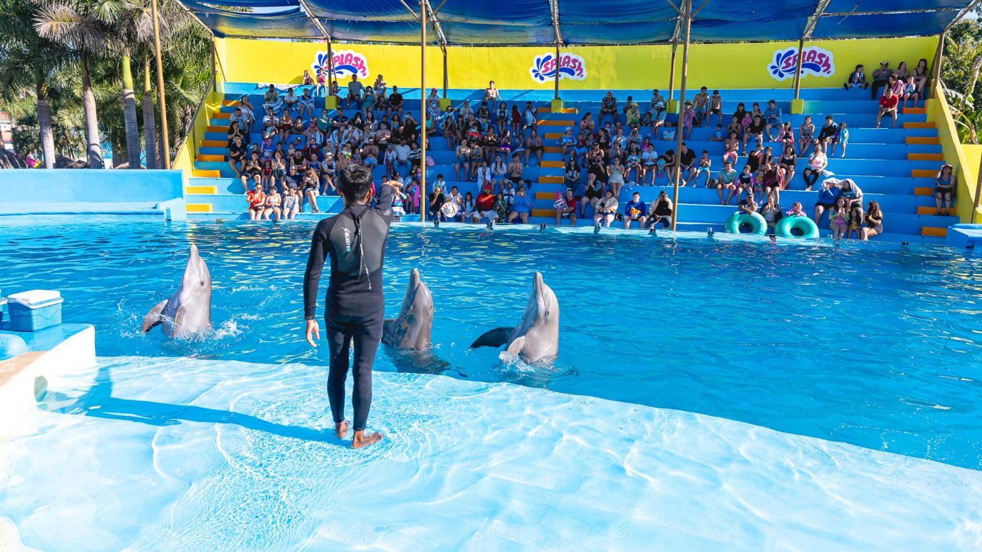 Splash Nuevo Vallarta&parque Acuatico 4*