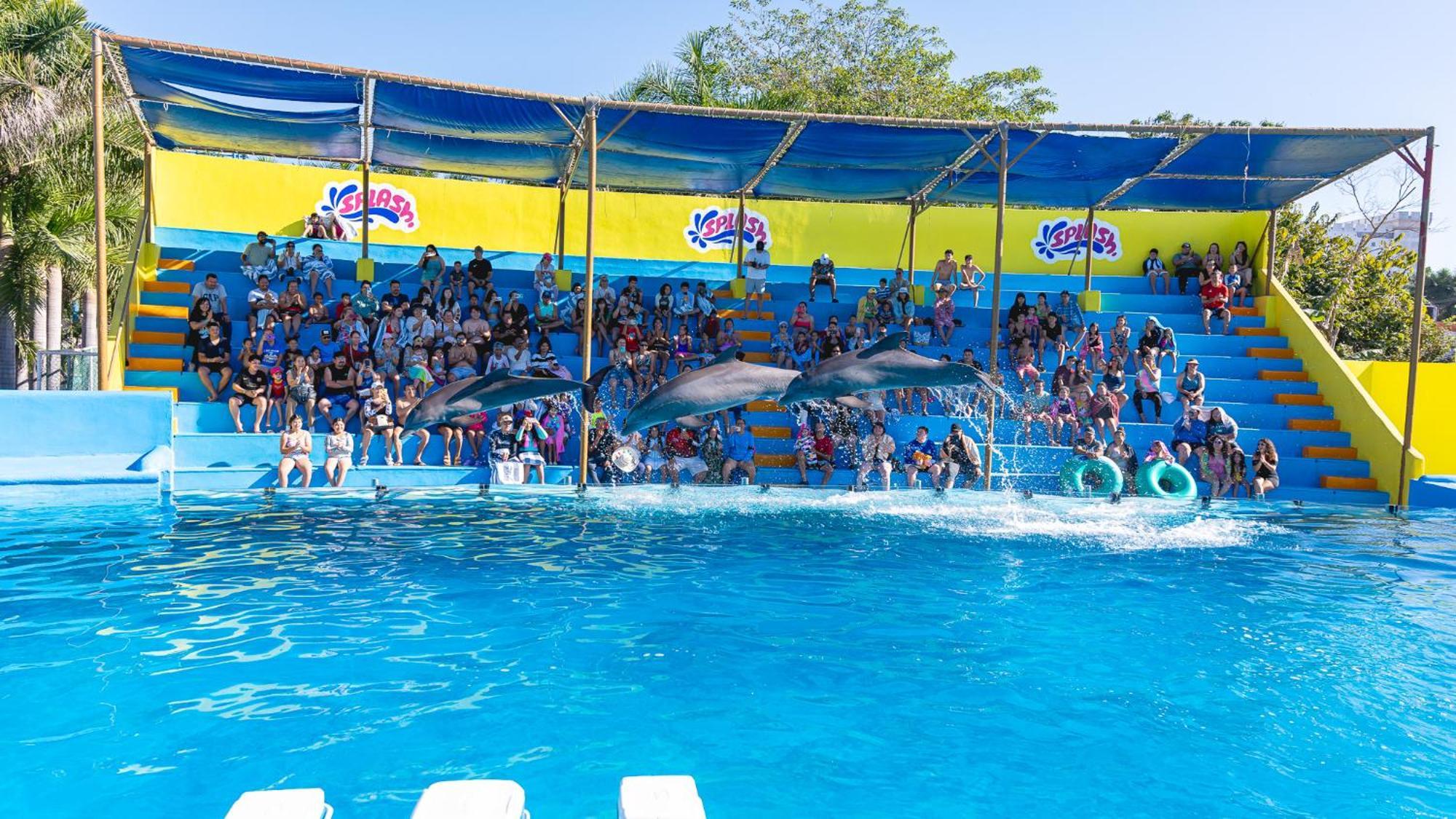 Splash Nuevo Vallarta&parque Acuatico Hotel
